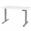 Scrivania Elettrica Regolabile FLEXISPOT EF1, 140x80cm, Certificato FSC, con Pannello Memoria a 2 Livelli, Grigio e Bianco